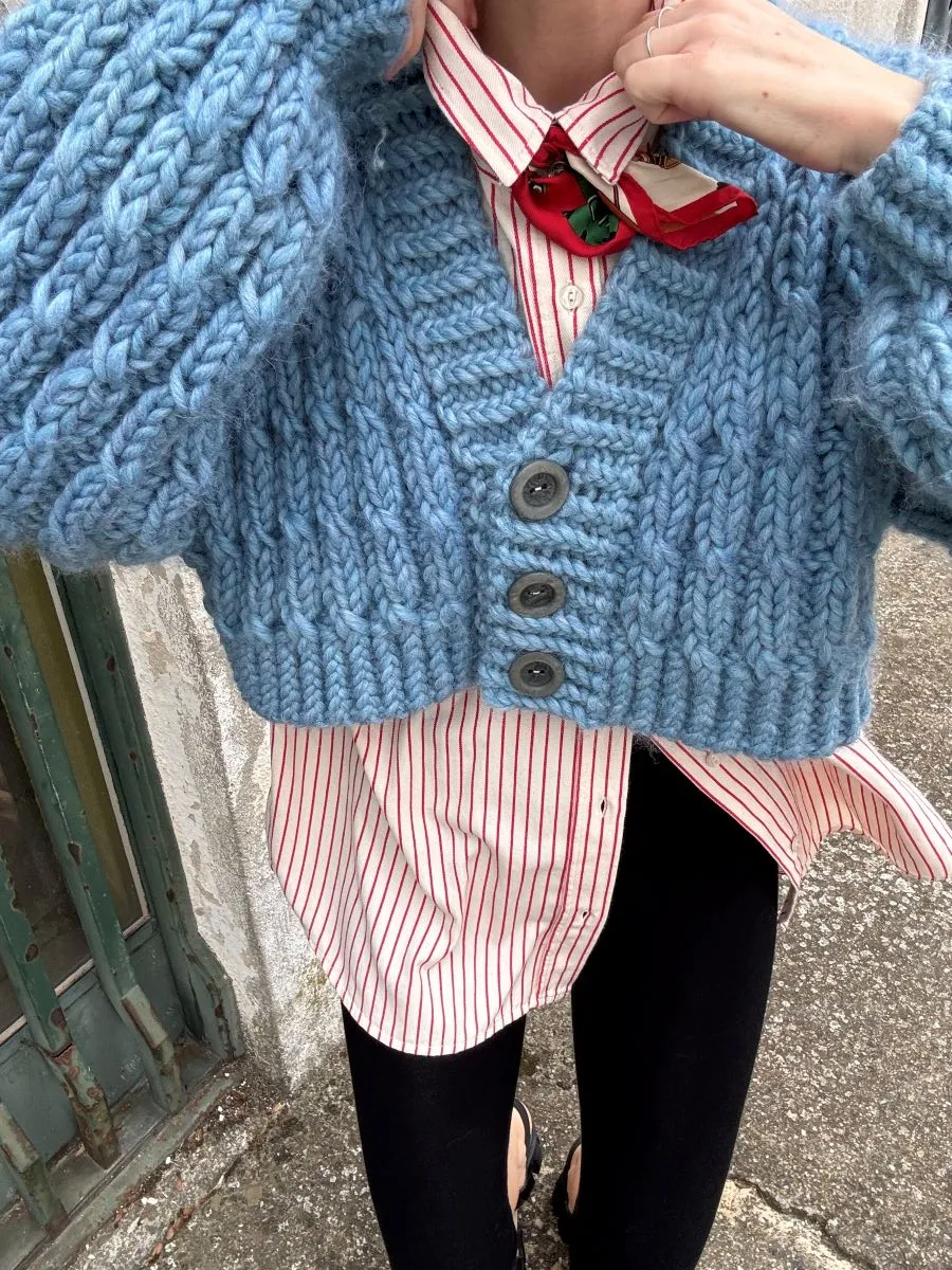 The Blue Cardi - Image 2