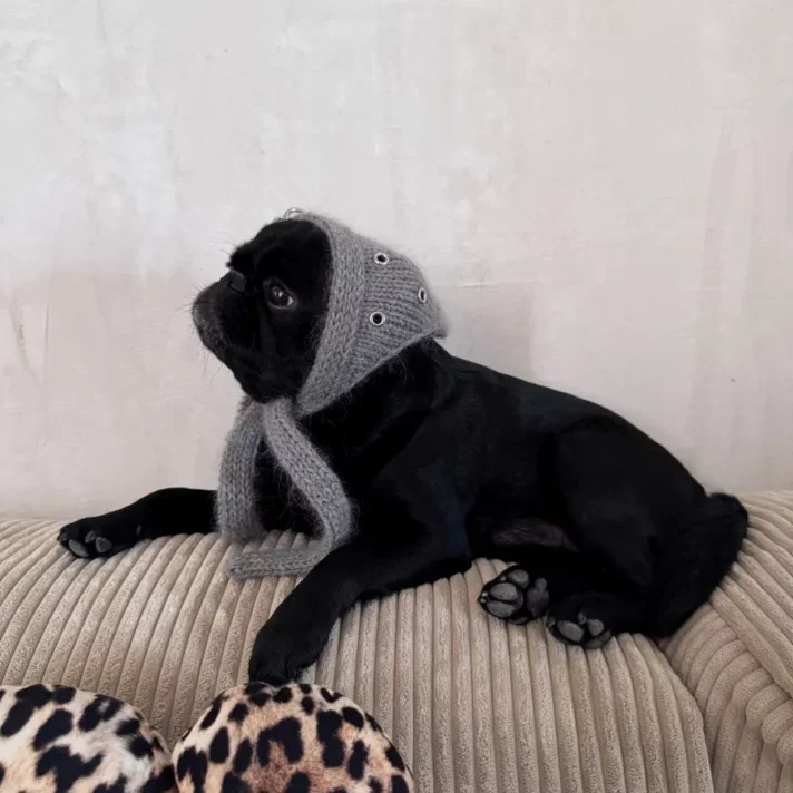 Superstar Bandana