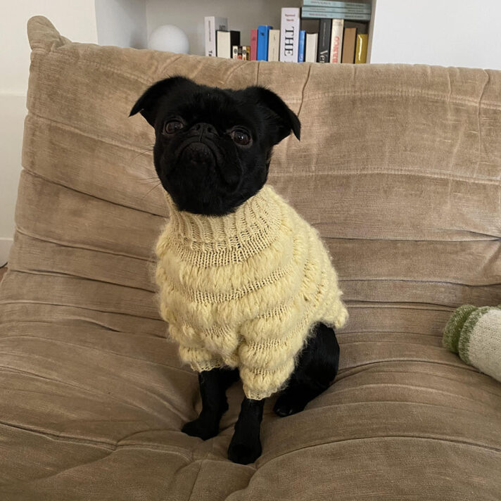 Maya Sweater