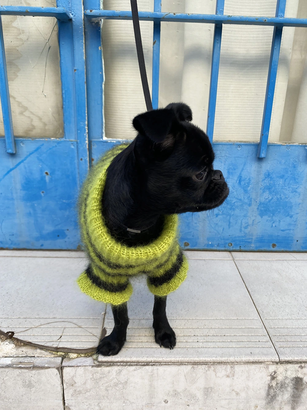 Sophie Sweater