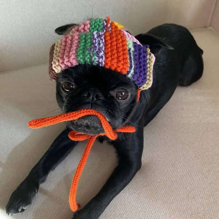 Léon Beanie